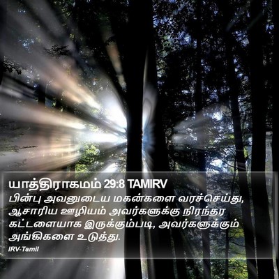 யாத்திராகமம் 29:8 TAMIRV Bible Verse Image