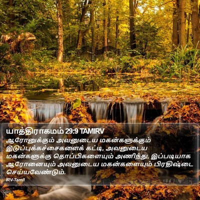யாத்திராகமம் 29:9 TAMIRV Bible Verse Image