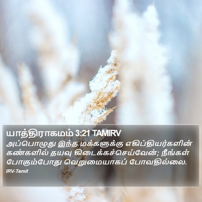 யாத்திராகமம் 3:21 TAMIRV Bible Verse Image