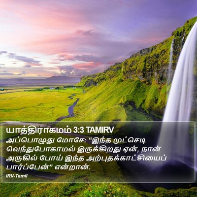 யாத்திராகமம் 3:3 TAMIRV Bible Verse Image
