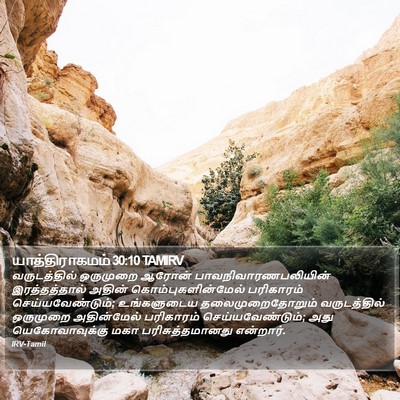 யாத்திராகமம் 30:10 TAMIRV Bible Verse Image