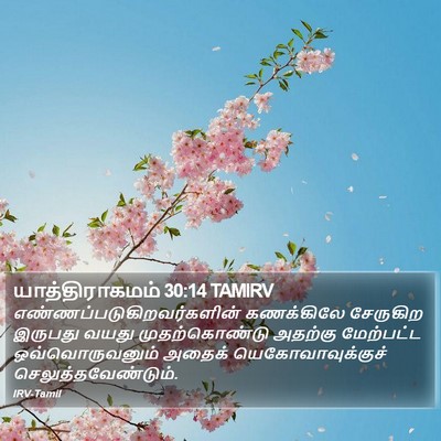 யாத்திராகமம் 30:14 TAMIRV Bible Verse Image