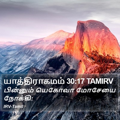 யாத்திராகமம் 30:17 TAMIRV Bible Verse Image