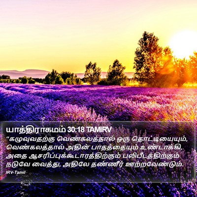 யாத்திராகமம் 30:18 TAMIRV Bible Verse Image