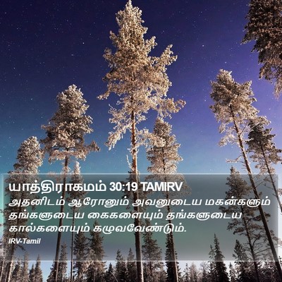 யாத்திராகமம் 30:19 TAMIRV Bible Verse Image