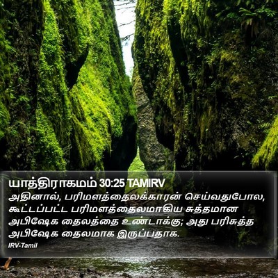 யாத்திராகமம் 30:25 TAMIRV Bible Verse Image