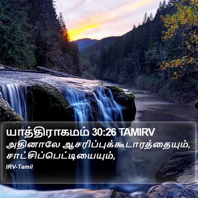 யாத்திராகமம் 30:26 TAMIRV Bible Verse Image
