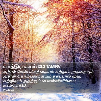 யாத்திராகமம் 30:3 TAMIRV Bible Verse Image