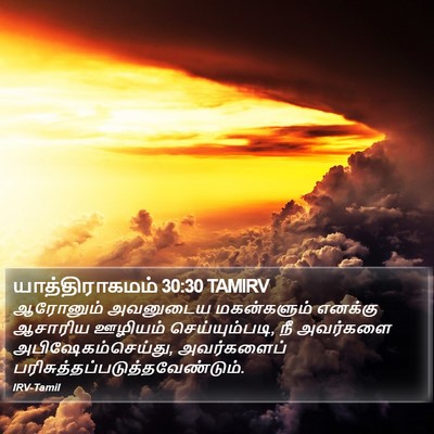 யாத்திராகமம் 30:30 TAMIRV Bible Verse Image