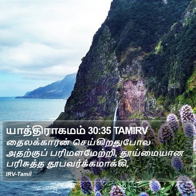 யாத்திராகமம் 30:35 TAMIRV Bible Verse Image