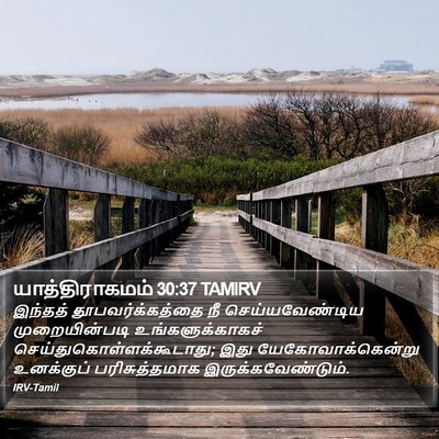 யாத்திராகமம் 30:37 TAMIRV Bible Verse Image