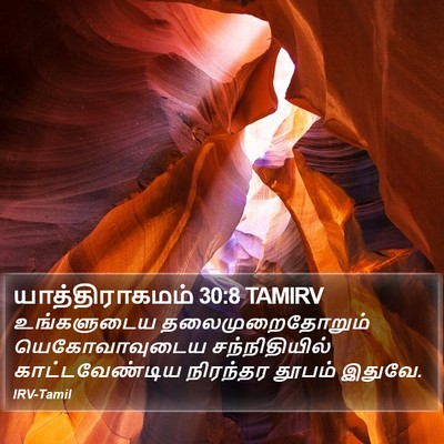 யாத்திராகமம் 30:8 TAMIRV Bible Verse Image
