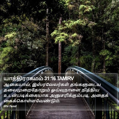 யாத்திராகமம் 31:16 TAMIRV Bible Verse Image