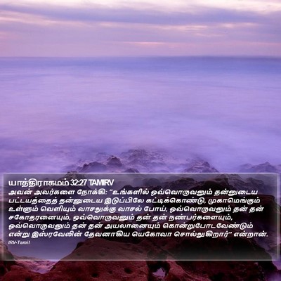 யாத்திராகமம் 32:27 TAMIRV Bible Verse Image
