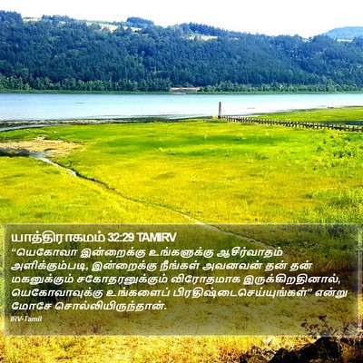 யாத்திராகமம் 32:29 TAMIRV Bible Verse Image