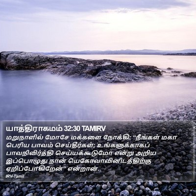 யாத்திராகமம் 32:30 TAMIRV Bible Verse Image