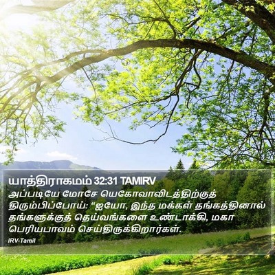 யாத்திராகமம் 32:31 TAMIRV Bible Verse Image