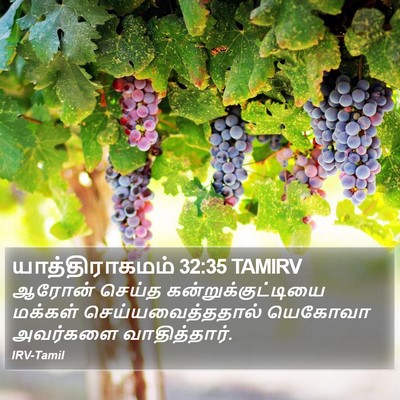 யாத்திராகமம் 32:35 TAMIRV Bible Verse Image