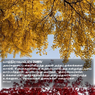 யாத்திராகமம் 32:4 TAMIRV Bible Verse Image
