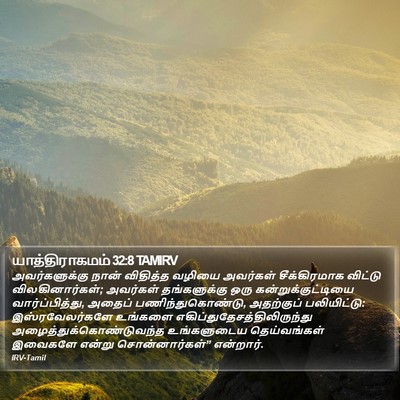 யாத்திராகமம் 32:8 TAMIRV Bible Verse Image