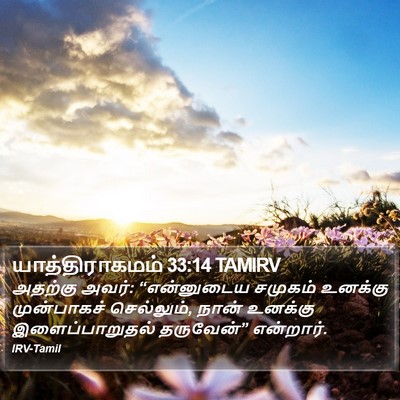 யாத்திராகமம் 33:14 TAMIRV Bible Verse Image
