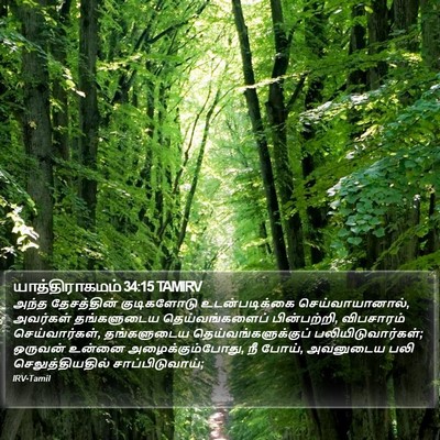 யாத்திராகமம் 34:15 TAMIRV Bible Verse Image