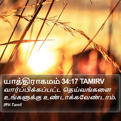 யாத்திராகமம் 34:17 TAMIRV Bible Verse Image