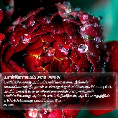 யாத்திராகமம் 34:18 TAMIRV Bible Verse Image