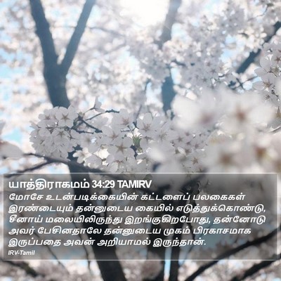 யாத்திராகமம் 34:29 TAMIRV Bible Verse Image