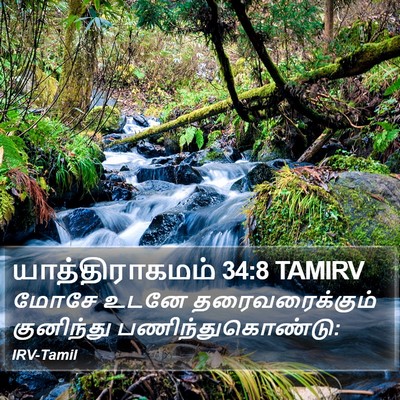 யாத்திராகமம் 34:8 TAMIRV Bible Verse Image