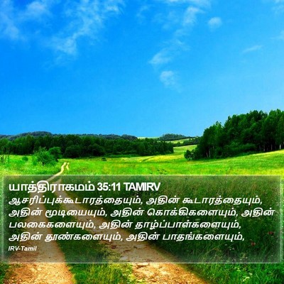 யாத்திராகமம் 35:11 TAMIRV Bible Verse Image