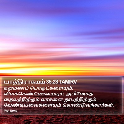 யாத்திராகமம் 35:28 TAMIRV Bible Verse Image
