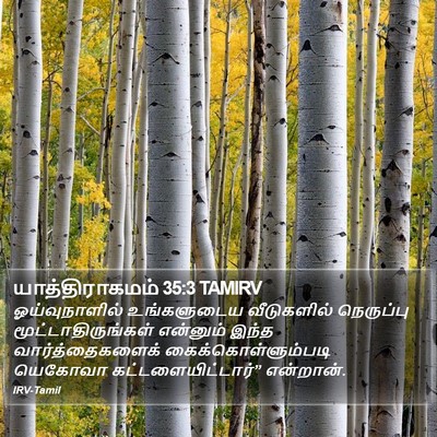 யாத்திராகமம் 35:3 TAMIRV Bible Verse Image