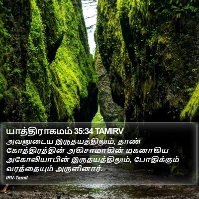யாத்திராகமம் 35:34 TAMIRV Bible Verse Image