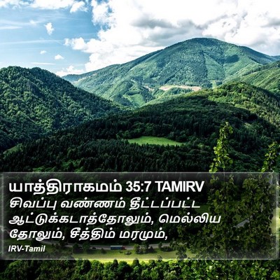 யாத்திராகமம் 35:7 TAMIRV Bible Verse Image