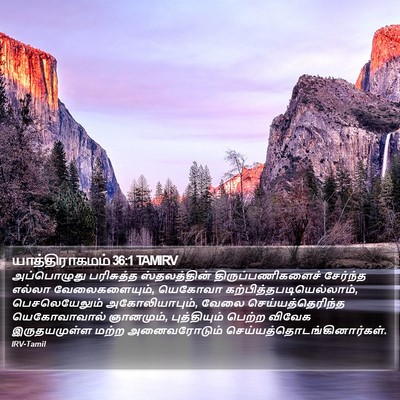 யாத்திராகமம் 36:1 TAMIRV Bible Verse Image