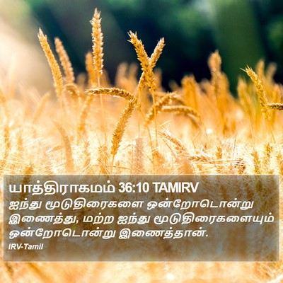 யாத்திராகமம் 36:10 TAMIRV Bible Verse Image