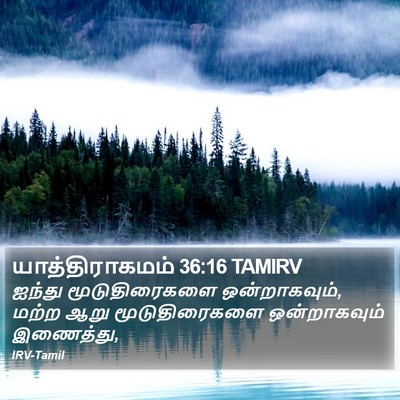 யாத்திராகமம் 36:16 TAMIRV Bible Verse Image
