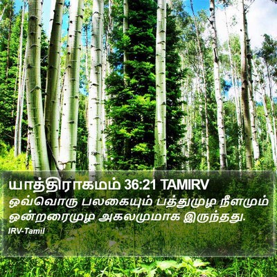 யாத்திராகமம் 36:21 TAMIRV Bible Verse Image