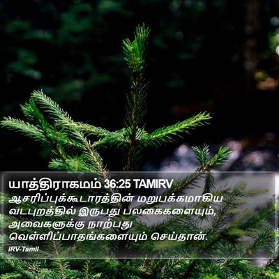 யாத்திராகமம் 36:25 TAMIRV Bible Verse Image