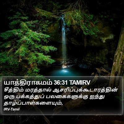 யாத்திராகமம் 36:31 TAMIRV Bible Verse Image