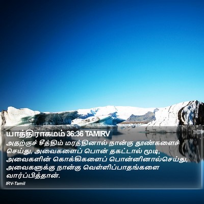 யாத்திராகமம் 36:36 TAMIRV Bible Verse Image