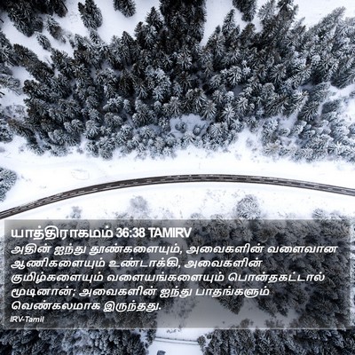 யாத்திராகமம் 36:38 TAMIRV Bible Verse Image