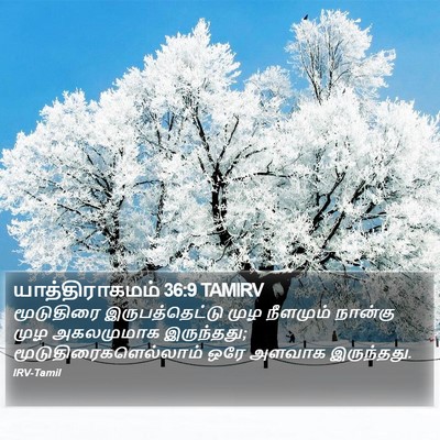 யாத்திராகமம் 36:9 TAMIRV Bible Verse Image