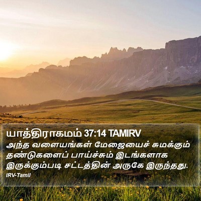 யாத்திராகமம் 37:14 TAMIRV Bible Verse Image