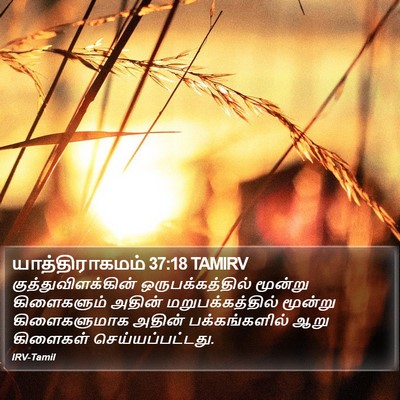 யாத்திராகமம் 37:18 TAMIRV Bible Verse Image