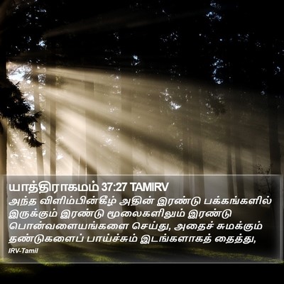 யாத்திராகமம் 37:27 TAMIRV Bible Verse Image
