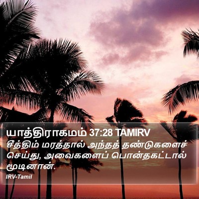 யாத்திராகமம் 37:28 TAMIRV Bible Verse Image