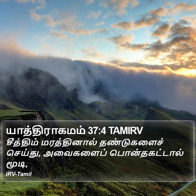 யாத்திராகமம் 37:4 TAMIRV Bible Verse Image