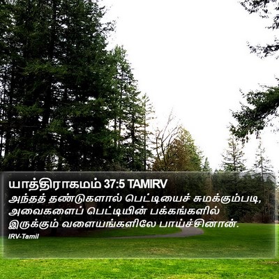 யாத்திராகமம் 37:5 TAMIRV Bible Verse Image